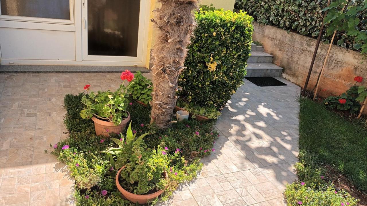 Apartments Monte Magno Pula Dış mekan fotoğraf