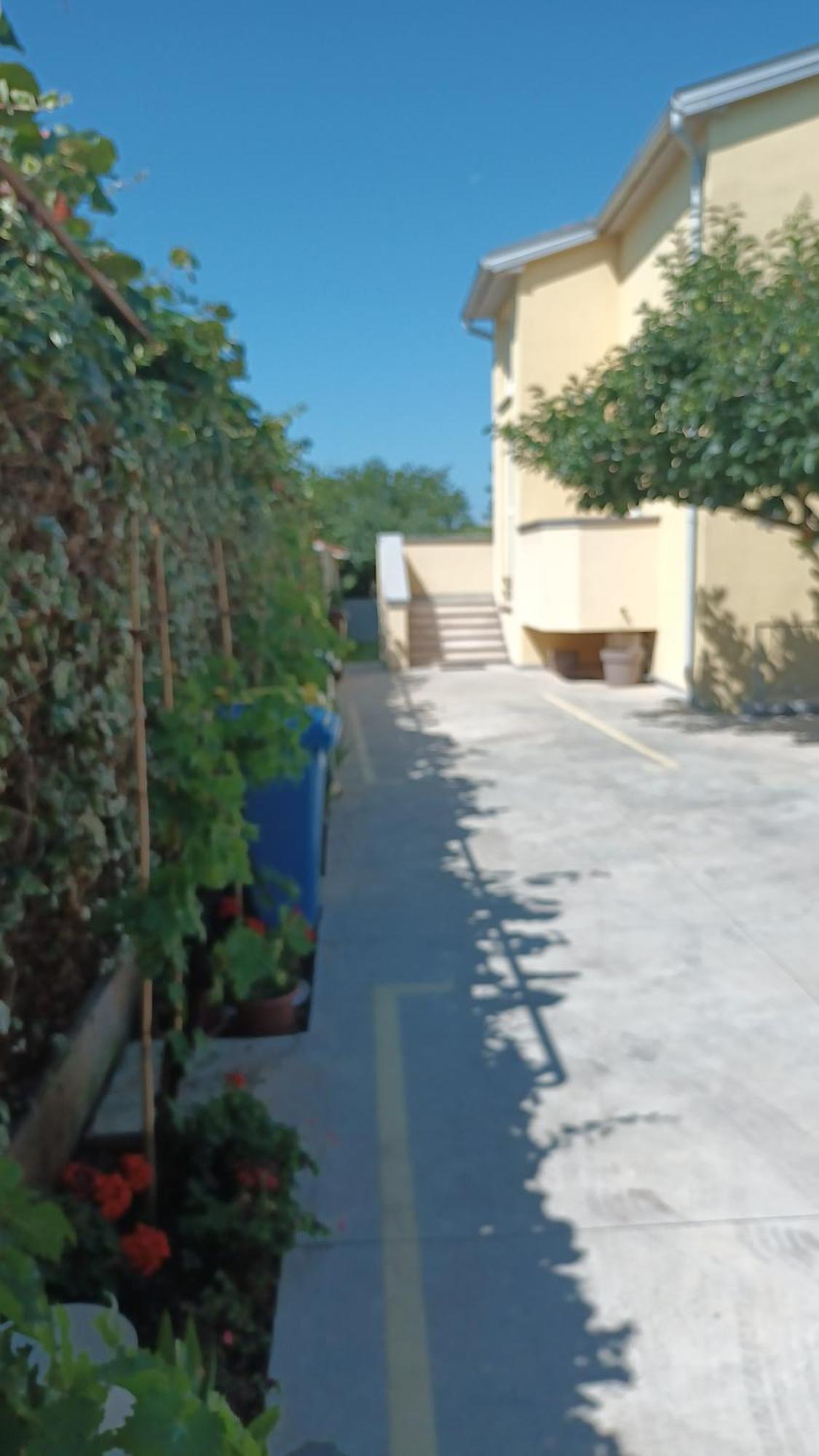 Apartments Monte Magno Pula Dış mekan fotoğraf