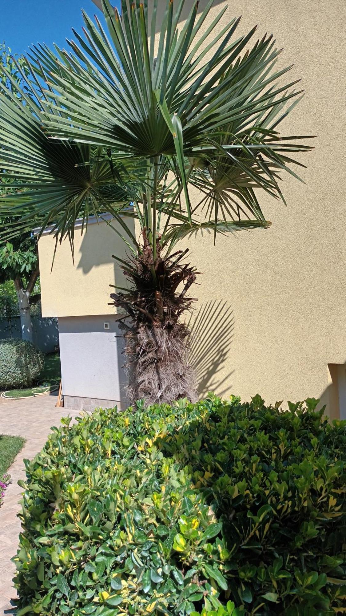 Apartments Monte Magno Pula Dış mekan fotoğraf