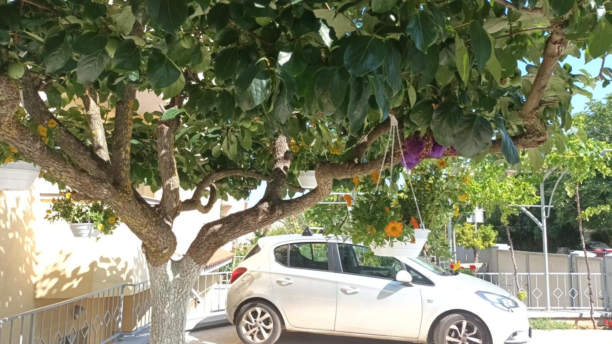 Apartments Monte Magno Pula Dış mekan fotoğraf
