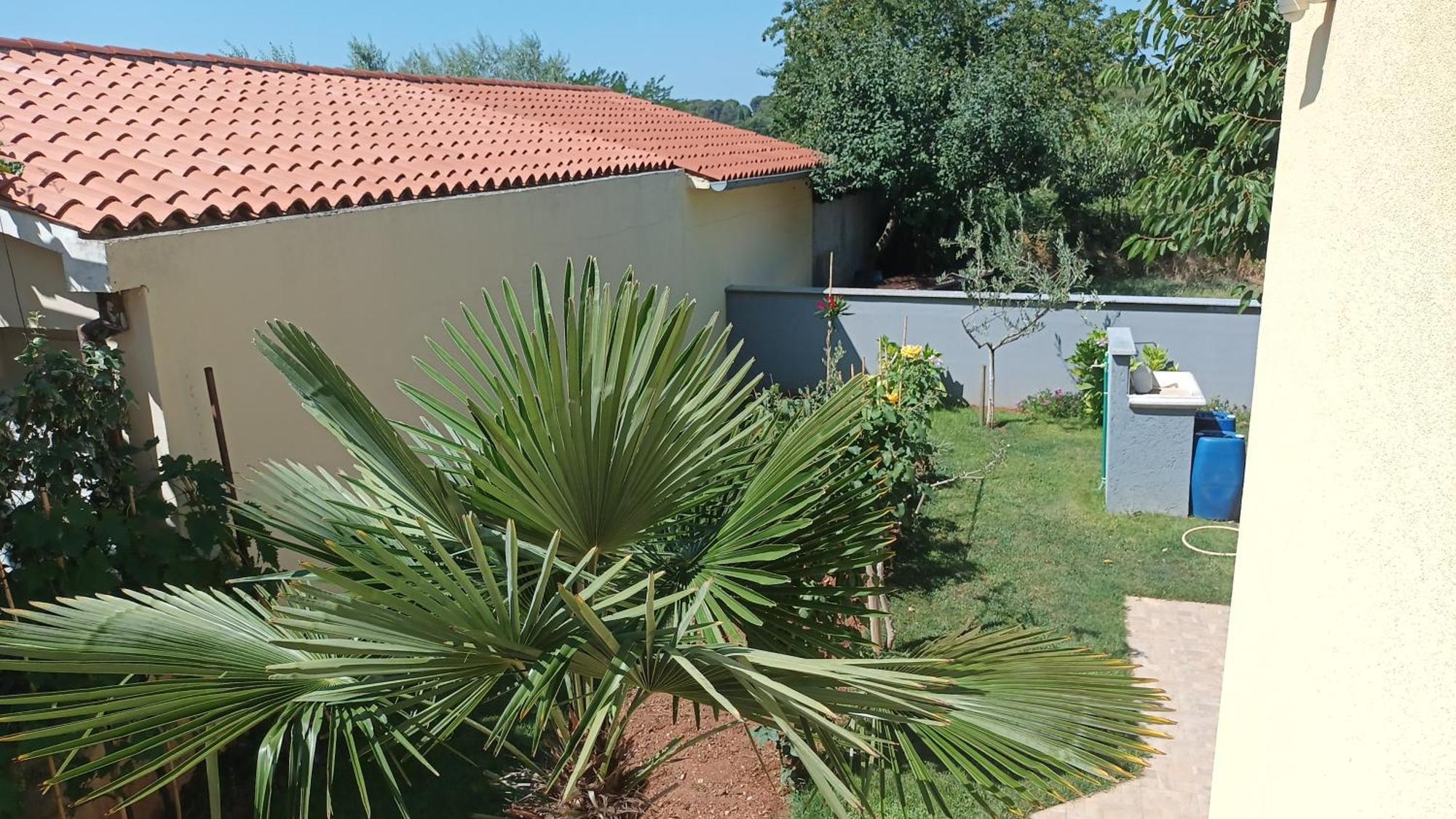 Apartments Monte Magno Pula Dış mekan fotoğraf