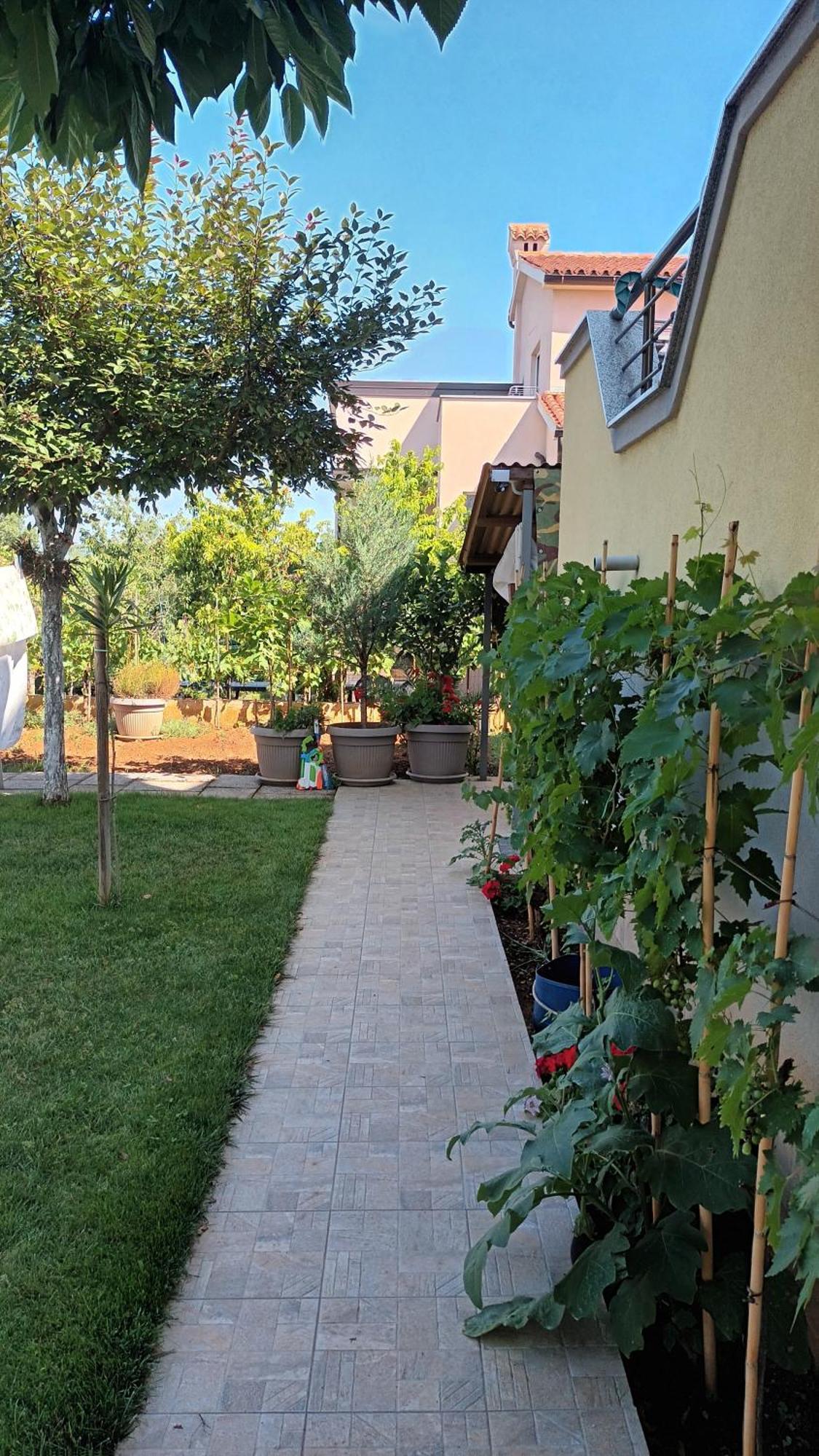 Apartments Monte Magno Pula Dış mekan fotoğraf