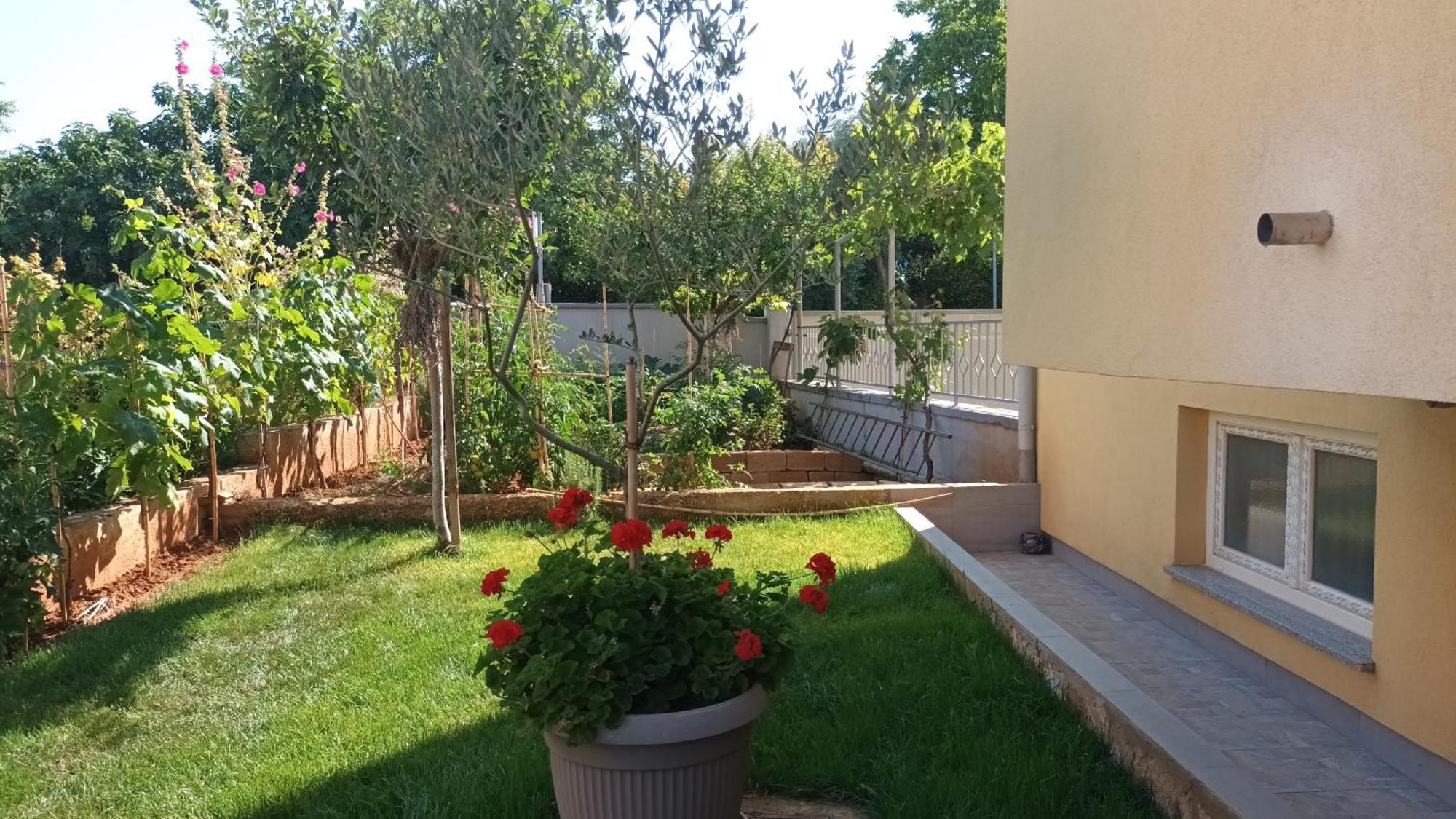 Apartments Monte Magno Pula Dış mekan fotoğraf