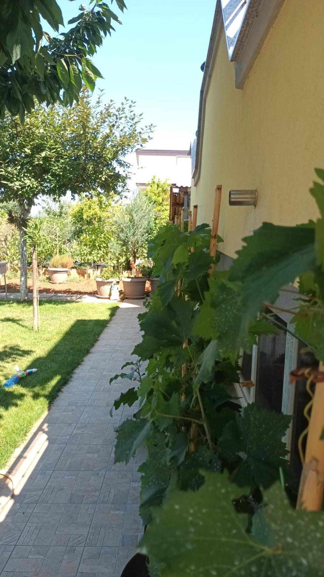 Apartments Monte Magno Pula Dış mekan fotoğraf