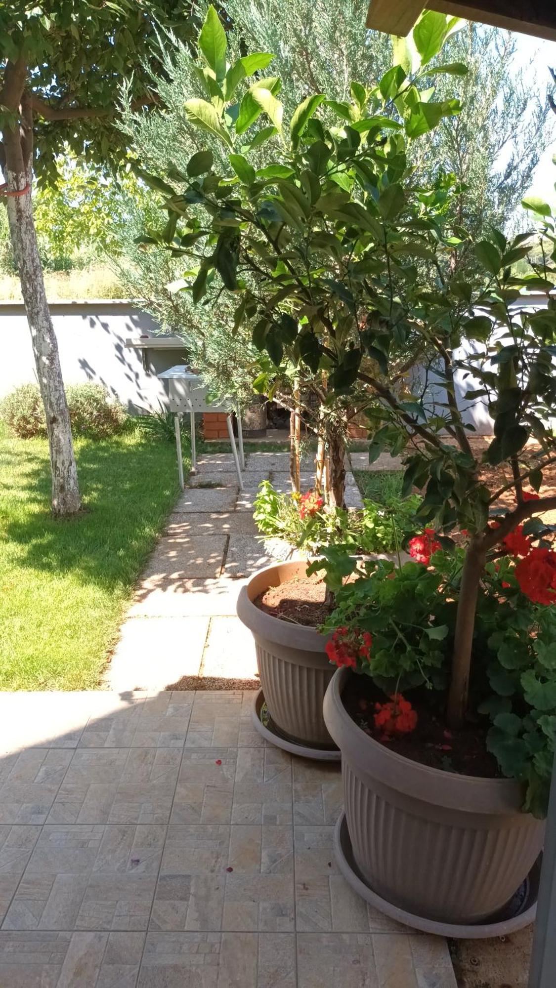 Apartments Monte Magno Pula Dış mekan fotoğraf