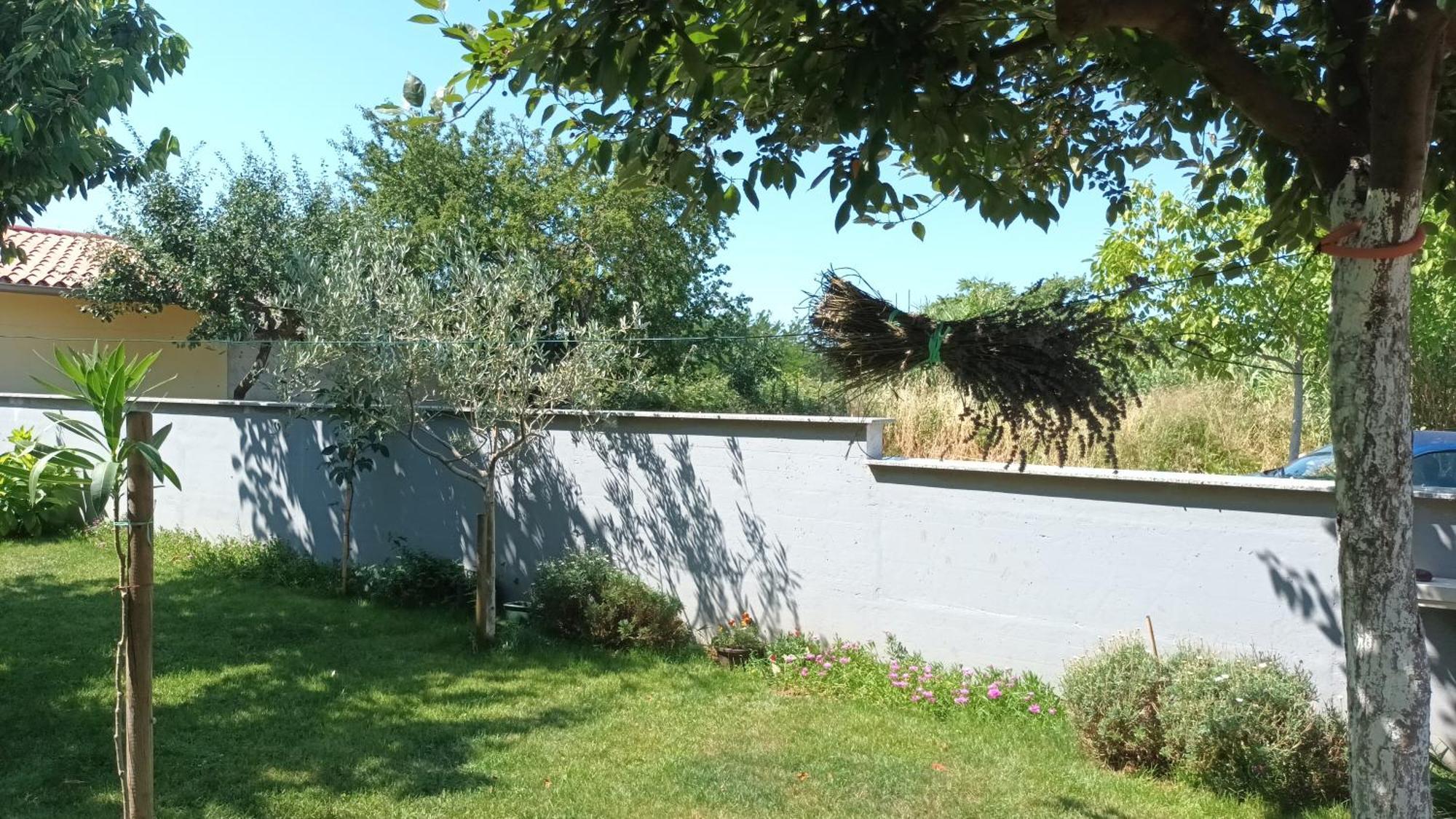 Apartments Monte Magno Pula Dış mekan fotoğraf